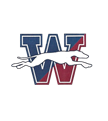 Windham Youth Football and Cheer